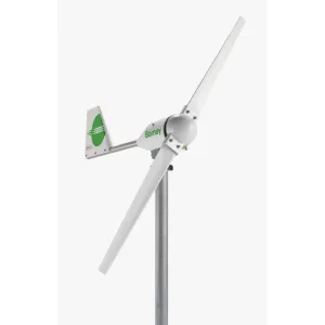 bornay 800x800 1.webp